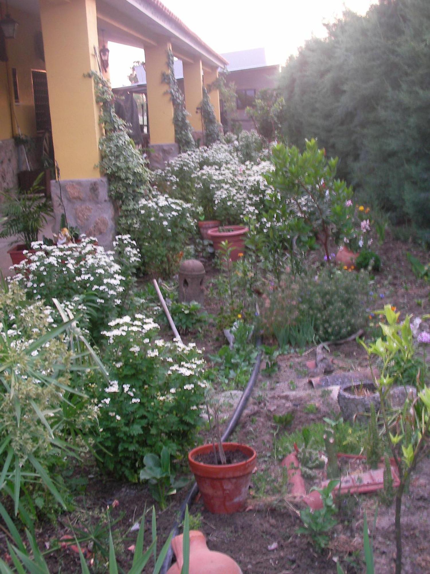 La Posada Hipica Rosalejo  Extérieur photo