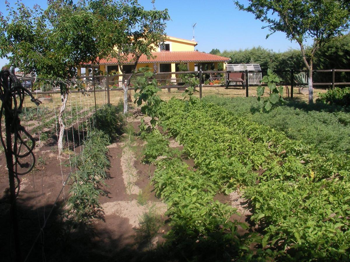 La Posada Hipica Rosalejo  Extérieur photo